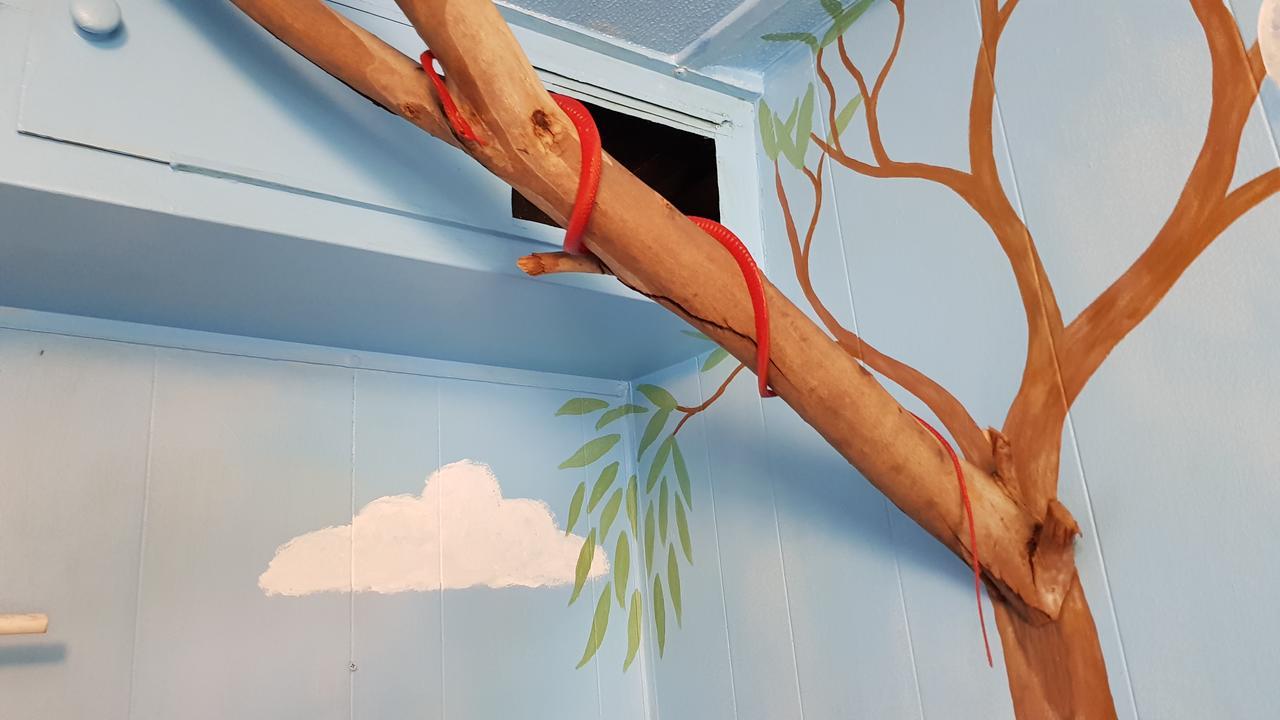 Alice'S Secret Travellers Inn Alice Springs Esterno foto